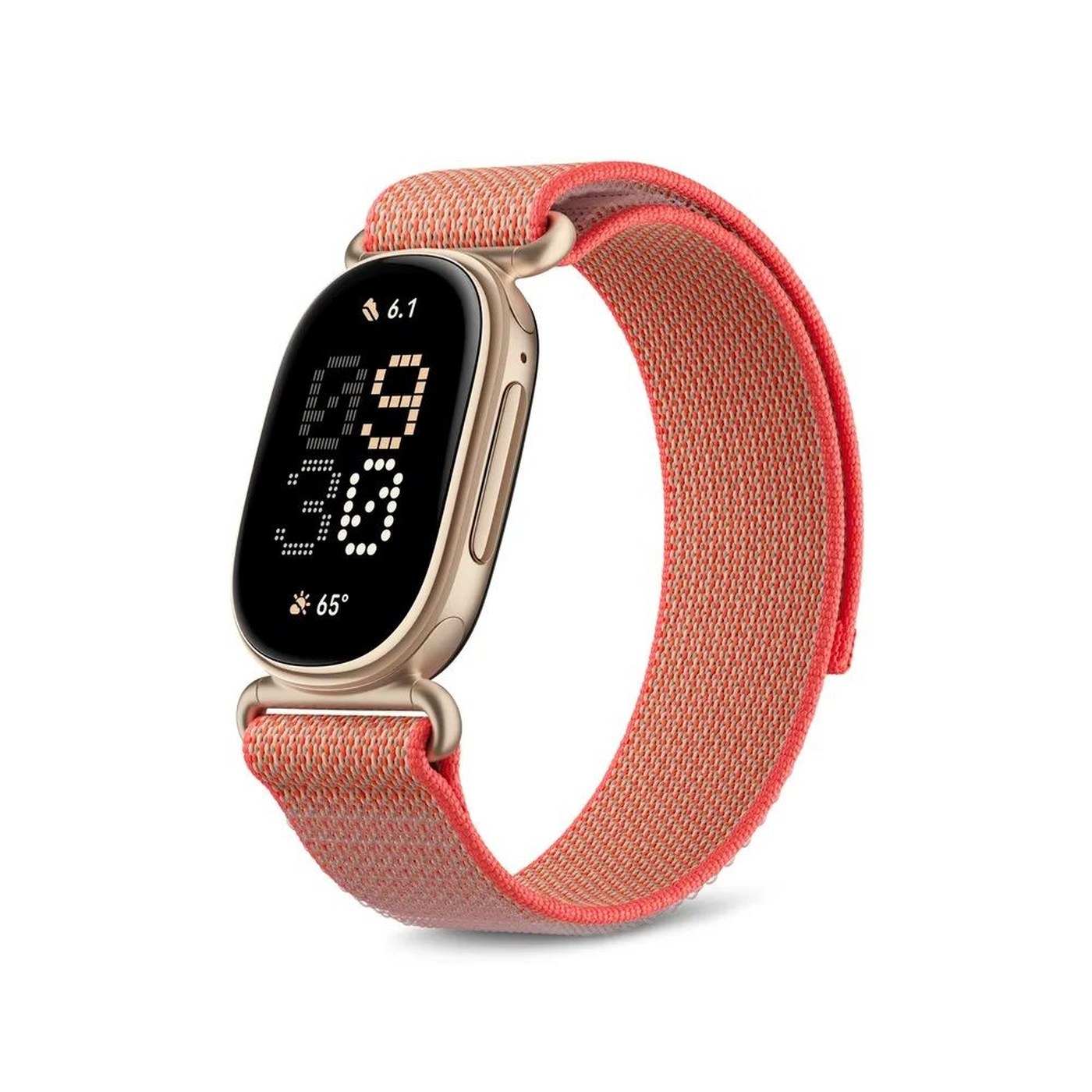 Fitbit Edge in Canyon with Performance Loop band.