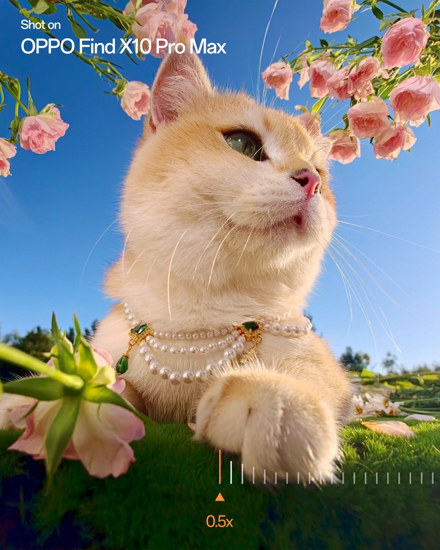 Sample image credited to the OPPO Find X10 Pro Max Triple 200MP system