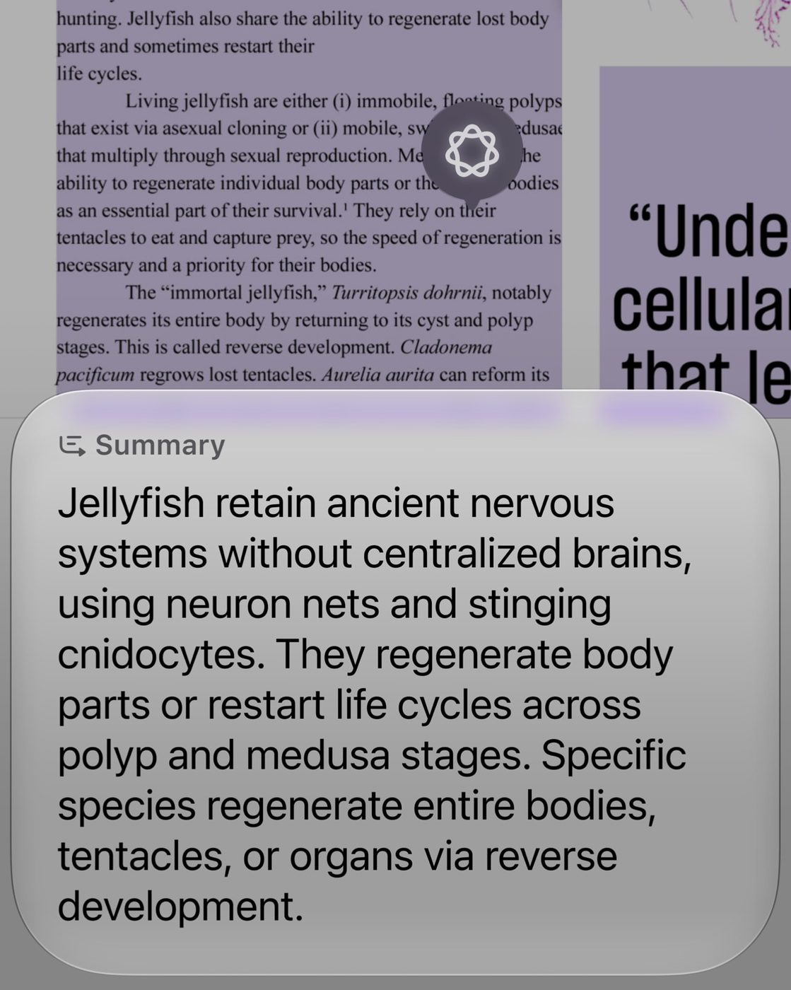 A summary card generated over a scientific paper about jellyfish